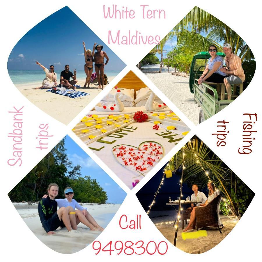 White Tern Maldives Hotell Maamigili Exteriör bild