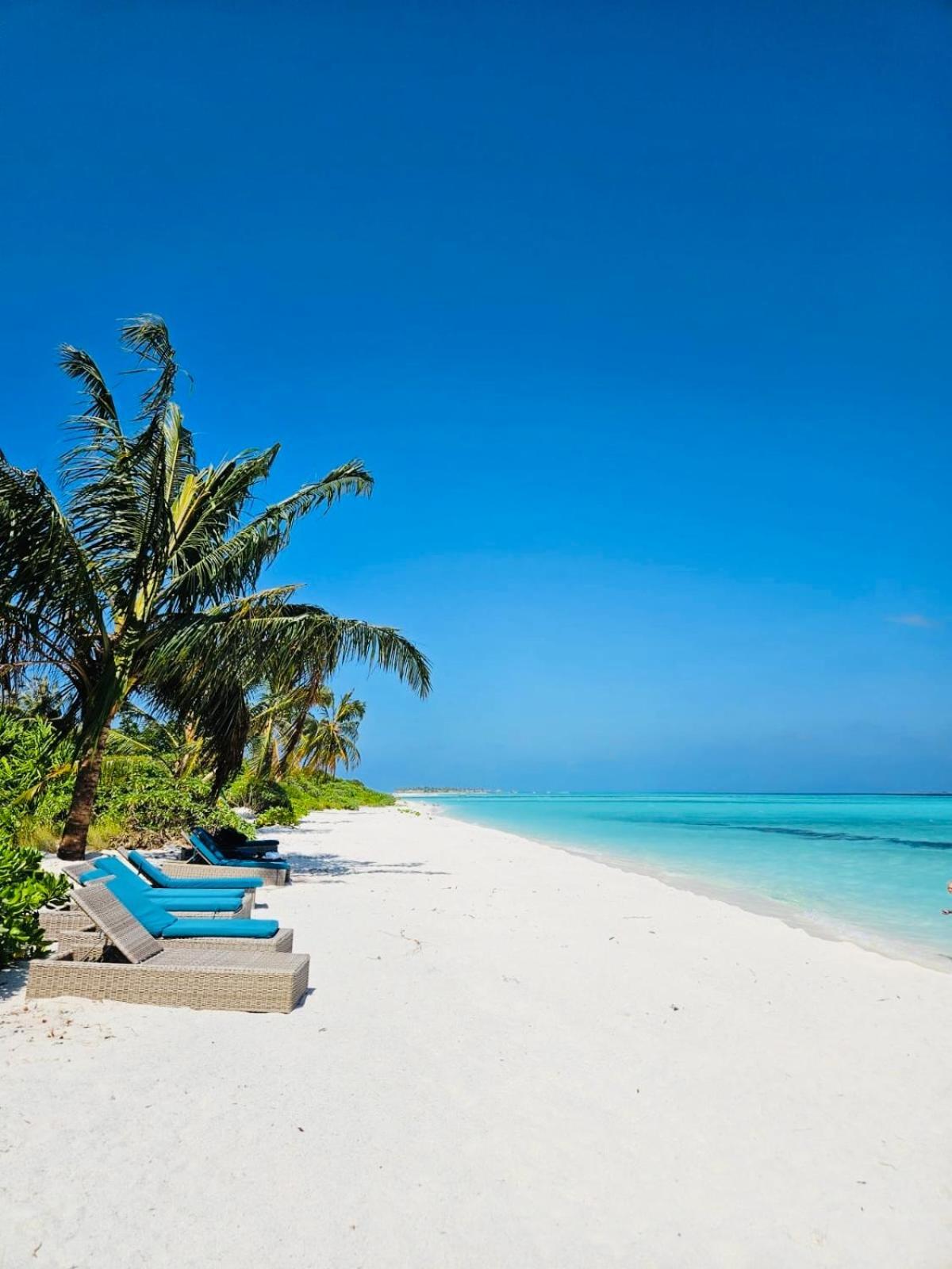 White Tern Maldives Hotell Maamigili Exteriör bild